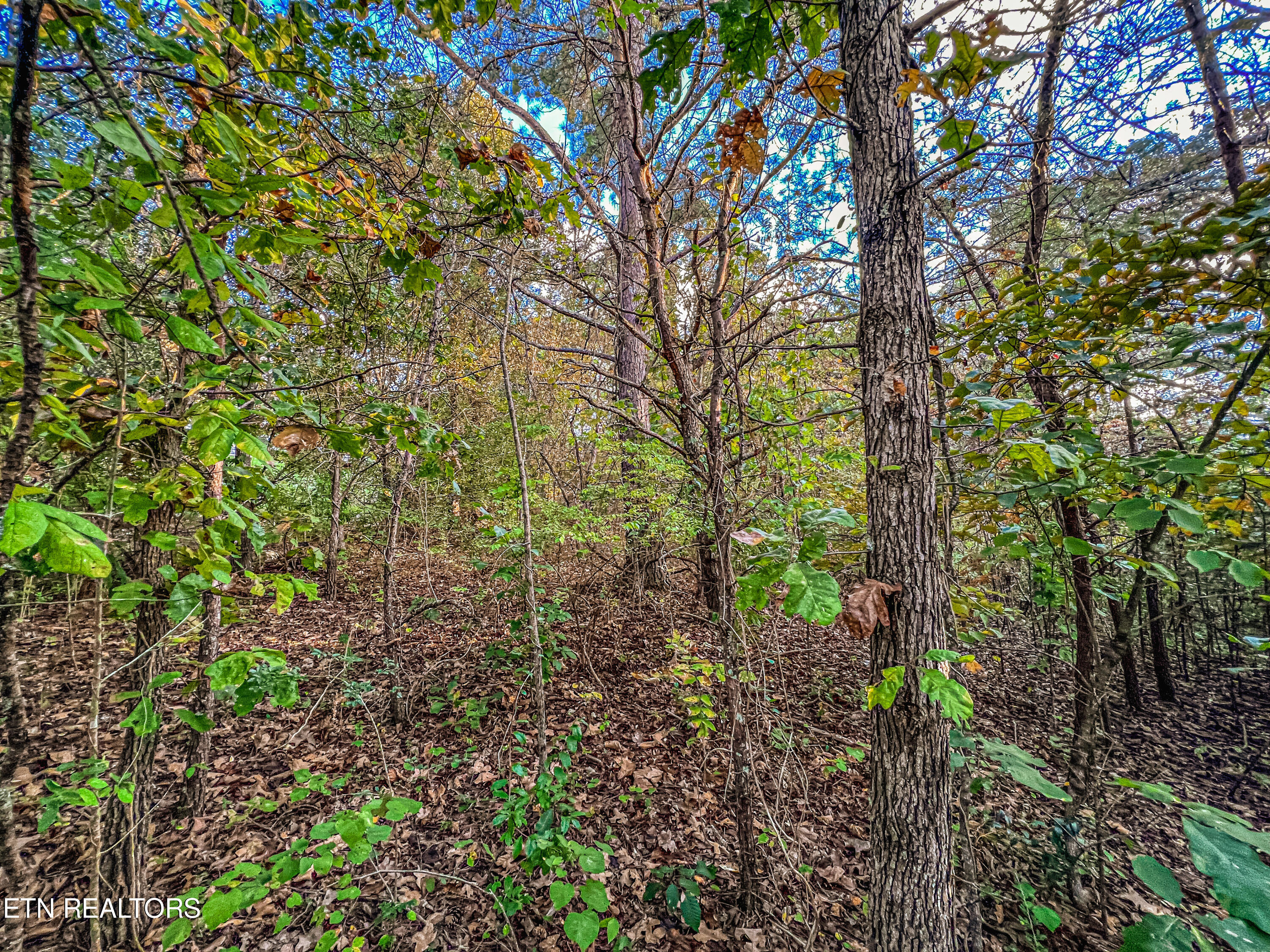 Powell Lane Speedwell, TN 37870 - Photo 11 of 11 10