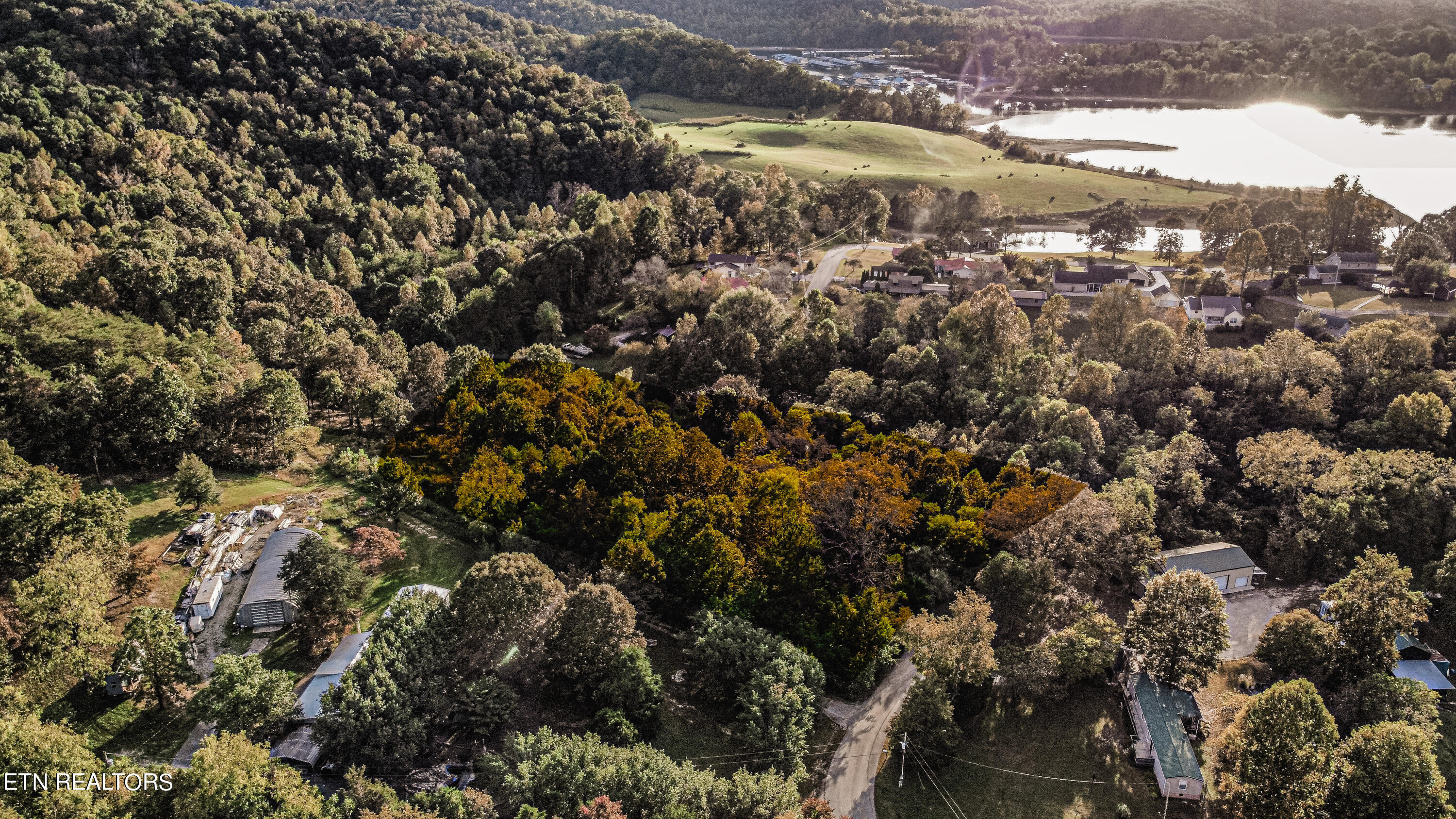Powell Lane Speedwell, TN 37870 - Photo 4 of 11 3