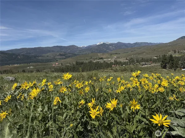 $349,000 | 62-xx Bella Vista Lane, Winthrop, WA 98862