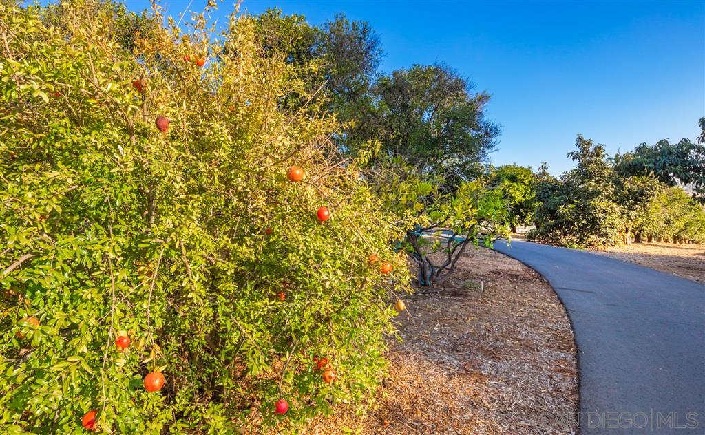 4110 Sleeping Indian Road Fallbrook, CA 92028 - Photo 6 of 22