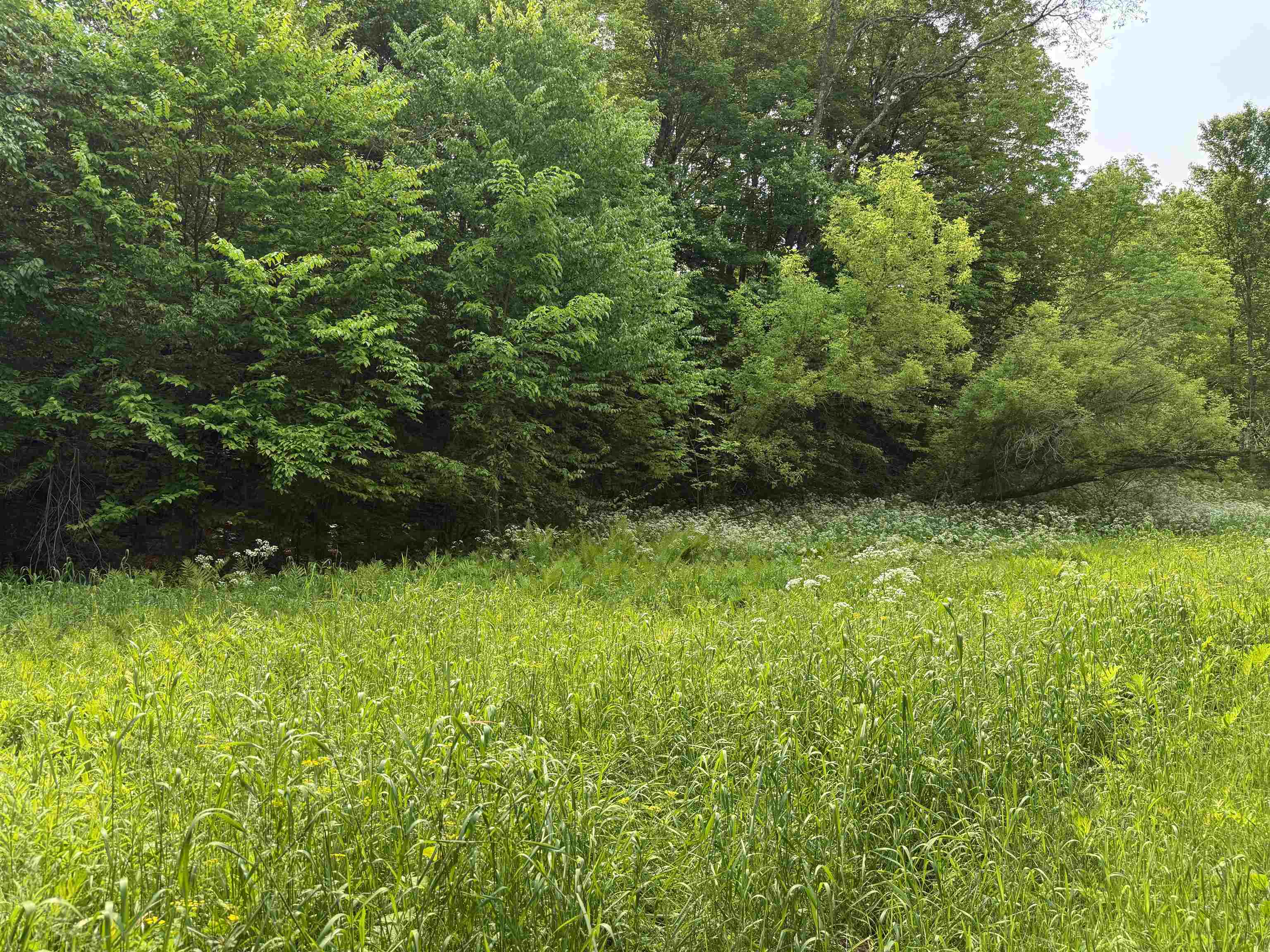399 Twitchell Settlement, Unit 1 2 Rochester, VT 05767 - Photo 16 of 53
