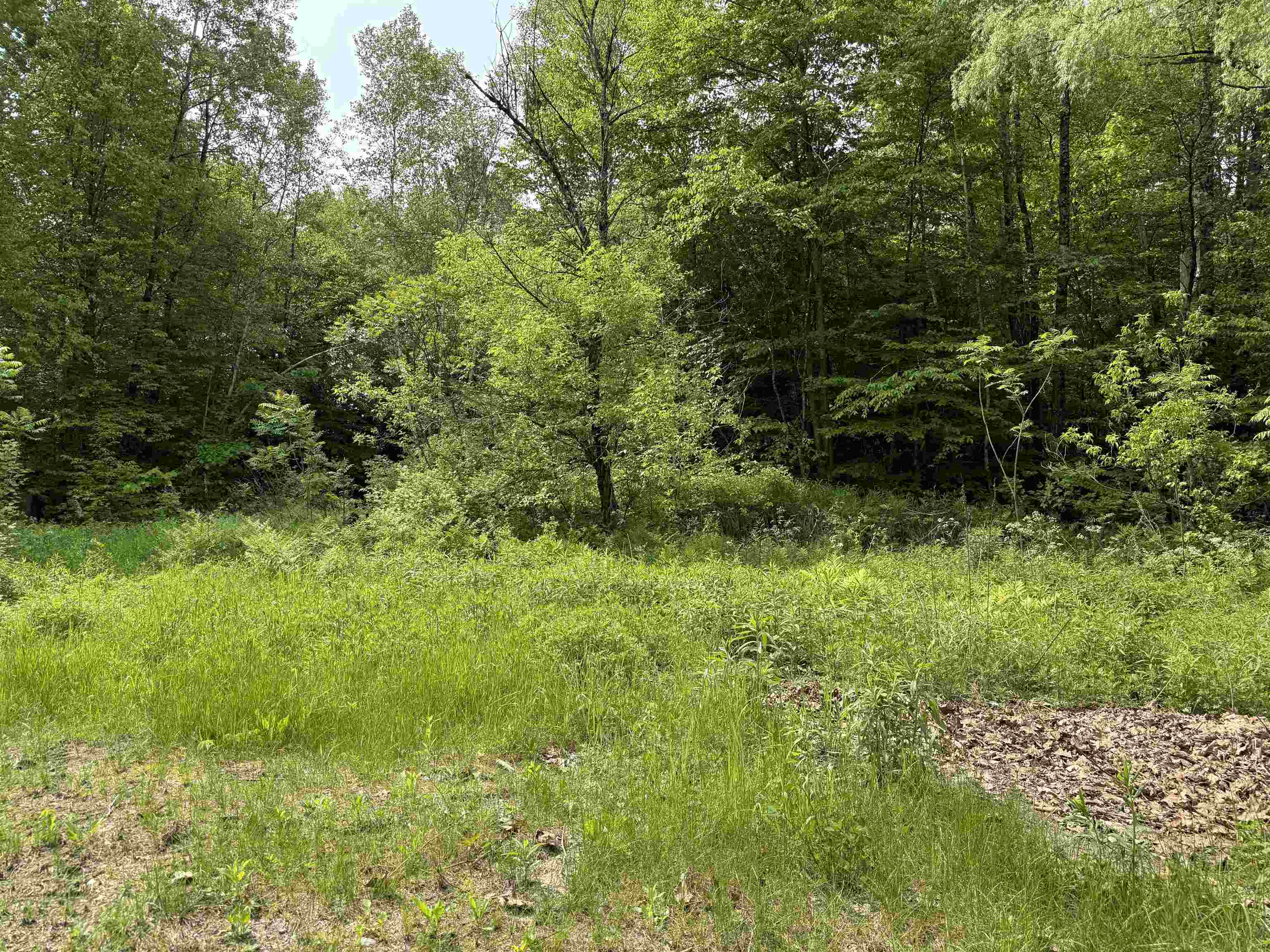 399 Twitchell Settlement, Unit 1 2 Rochester, VT 05767 - Photo 17 of 53
