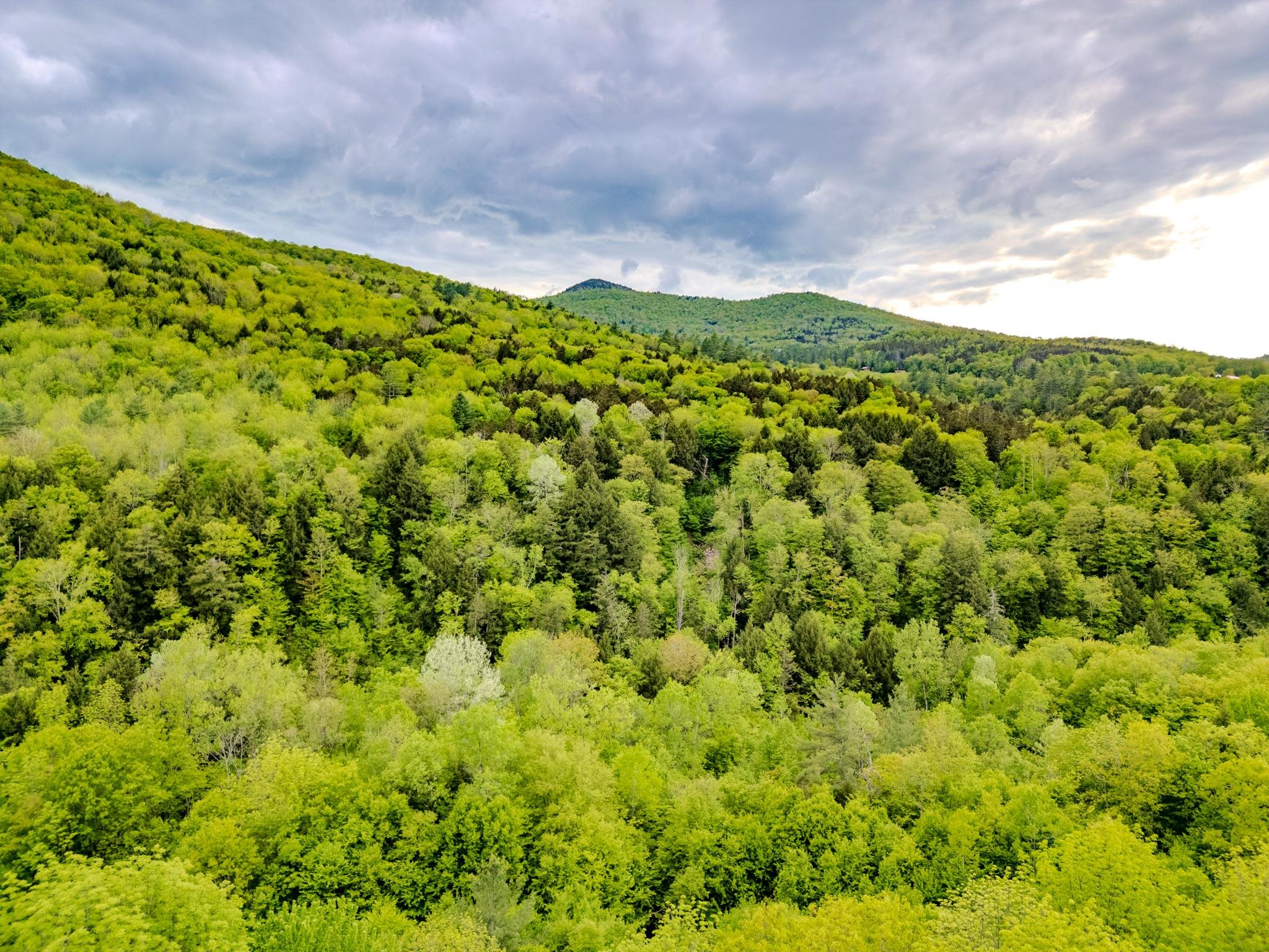 399 Twitchell Settlement, Unit 1 2 Rochester, VT 05767 - Photo 46 of 53