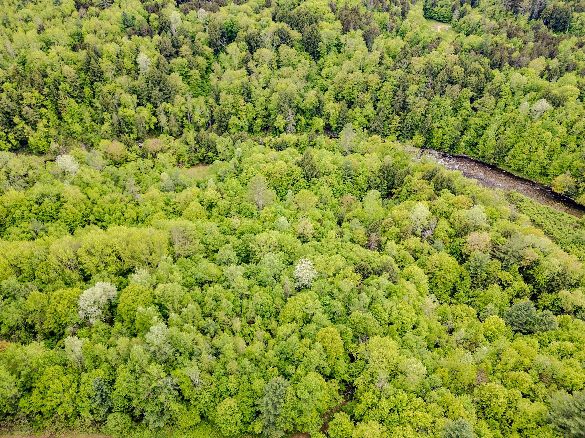 399 Twitchell Settlement, Unit 1 2 Rochester, VT 05767 - Photo 50 of 53