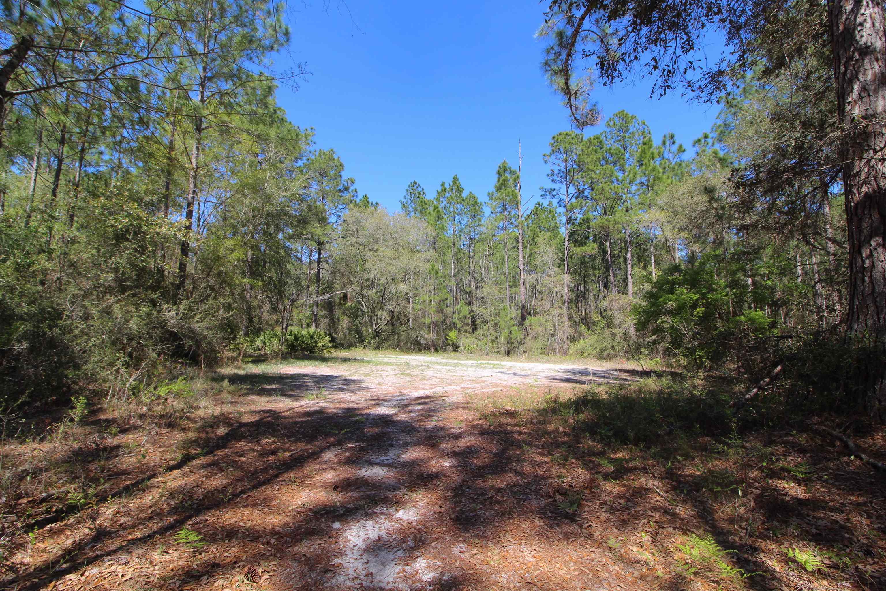 6001 Natural Bridge Road Tallahassee, FL 32305 - Photo 3 of 15