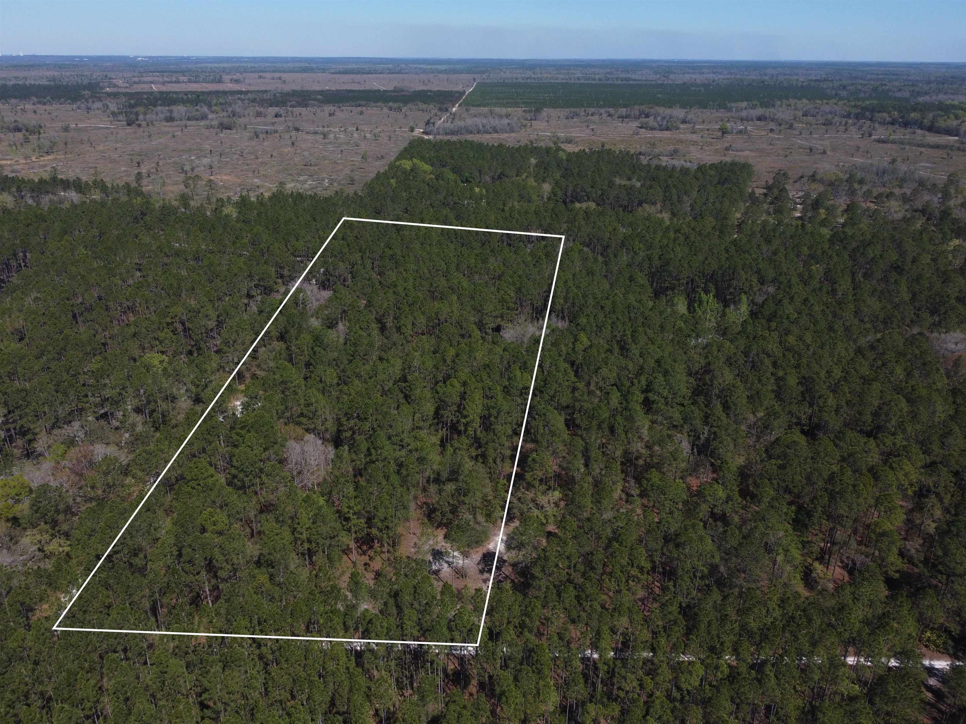 6001 Natural Bridge Road Tallahassee, FL 32305 - Photo 8 of 15