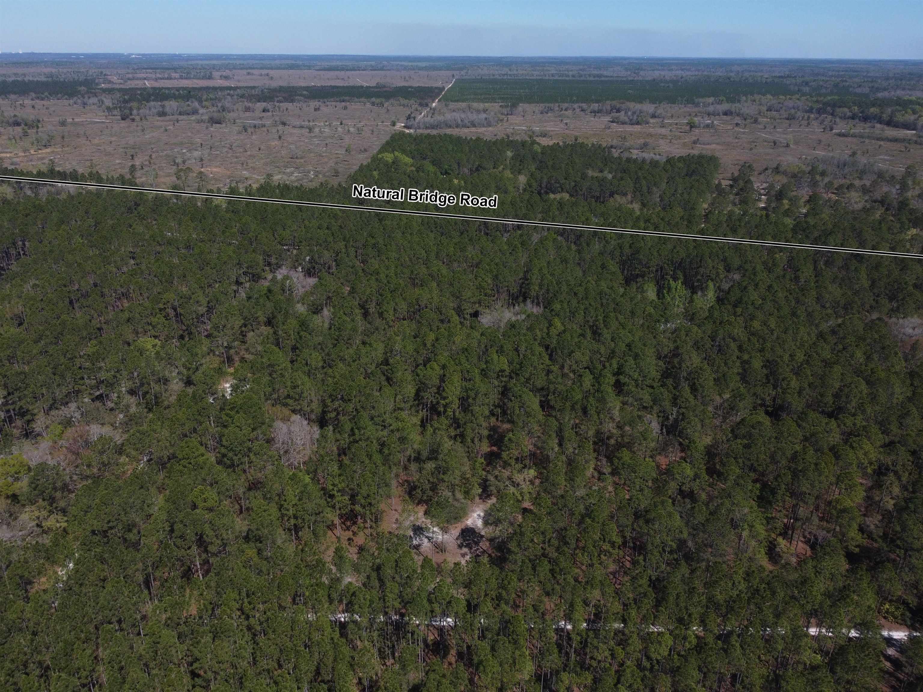 6001 Natural Bridge Road Tallahassee, FL 32305 - Photo 9 of 15