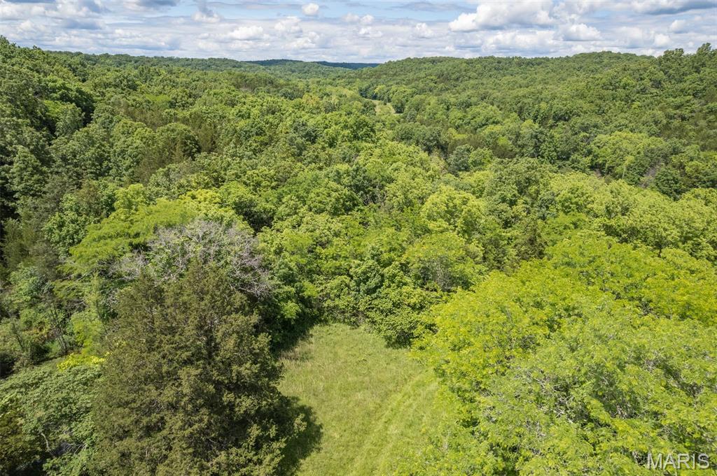 23201 Private Drive Duke, MO 65461 - Photo 15 of 30