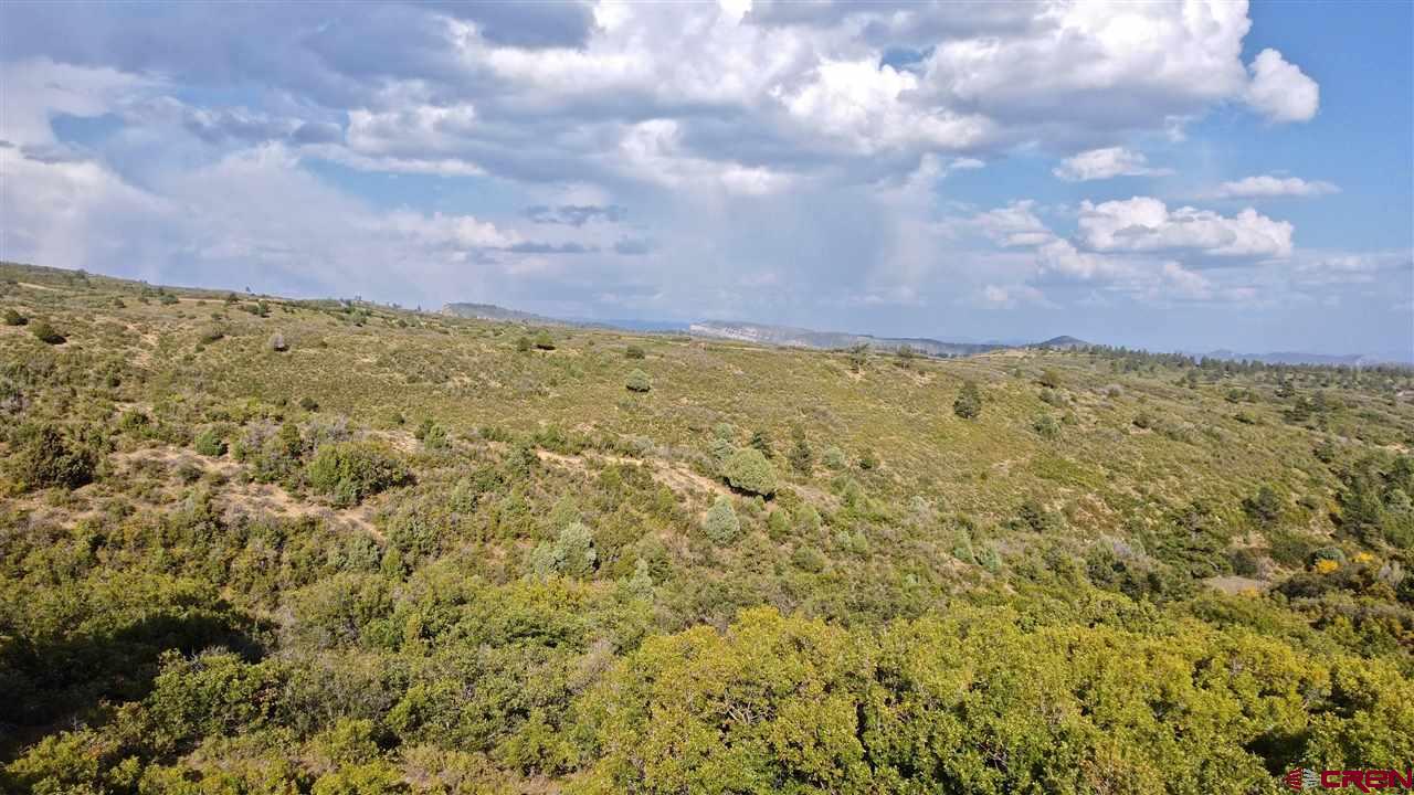 Lot#37 West Durango Ridge Road Durango, CO 81301 - Photo 4 of 9