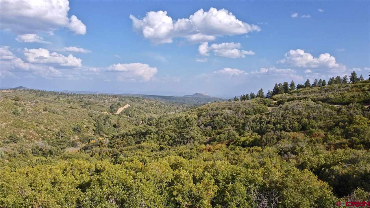 Lot#37 West Durango Ridge Road Durango, CO 81301 - Photo 6 of 9