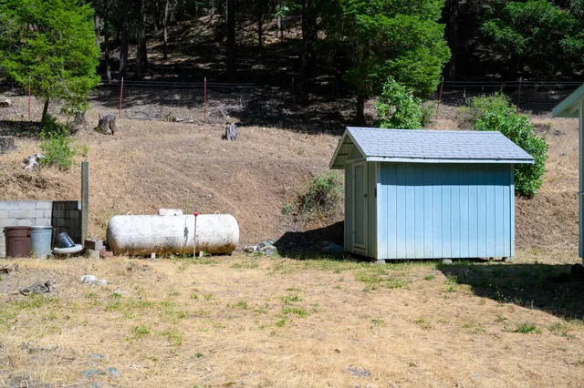 a view of a forest with lots of trees