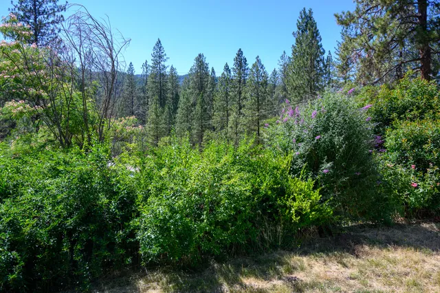 $310,000 | 2307 Goose Ranch Road, Lewiston, CA 96052