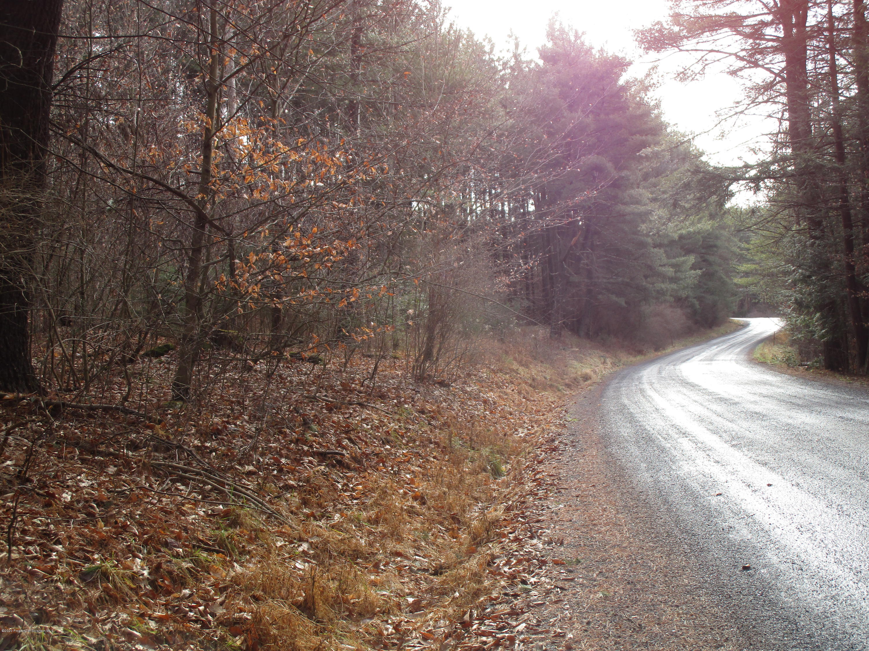 Paradise Road Wyalusing, PA 18853 - Photo 1 of 14 IMG_1879