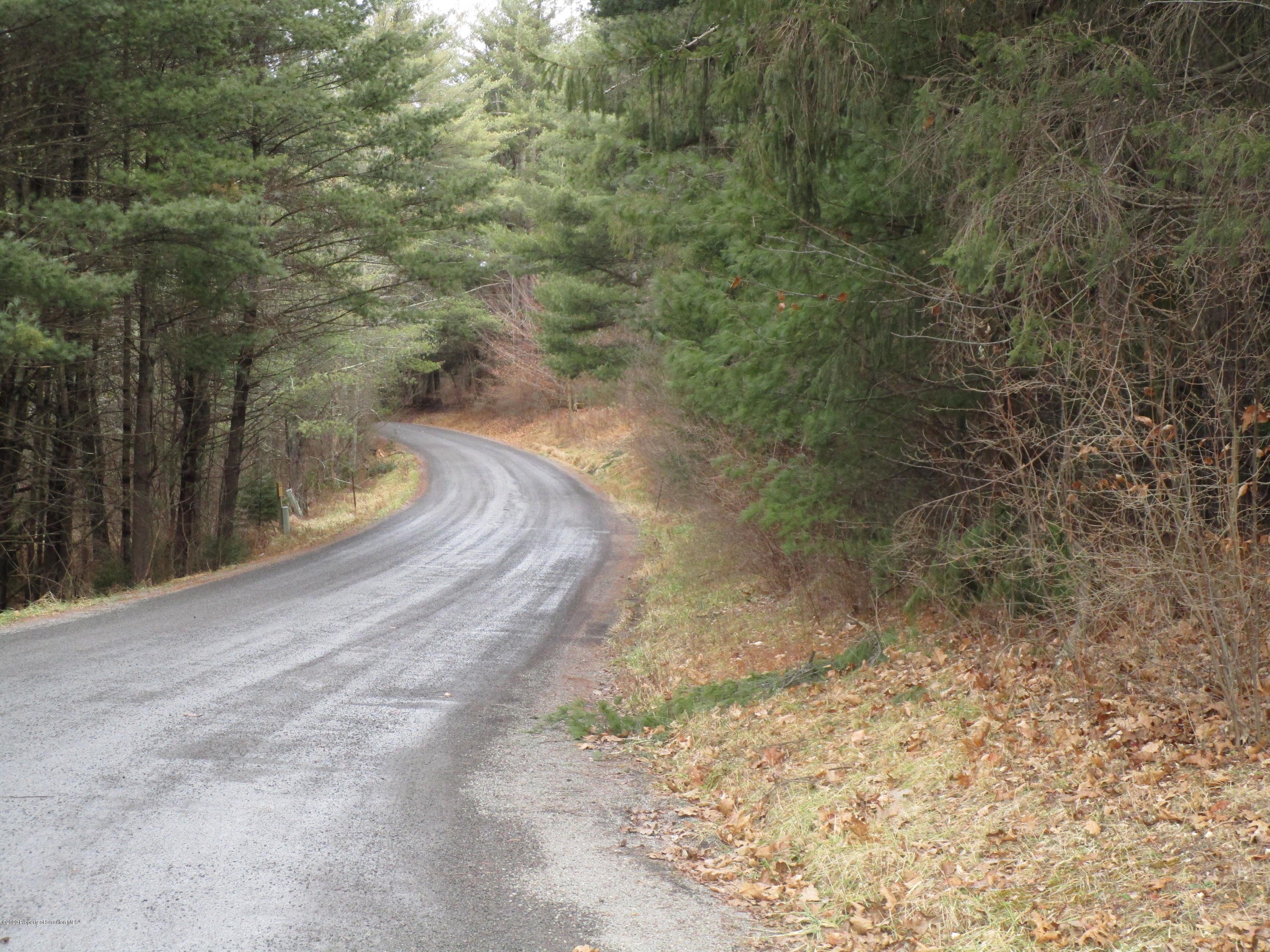 Paradise Road Wyalusing, PA 18853 - Photo 2 of 14 IMG_1919