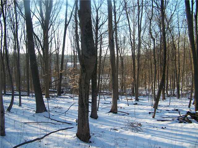 0 Sherri Road Mount Vernon, OH 43050 - Photo 3 of 5