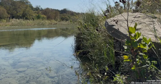 a view of a lake in between two large trees