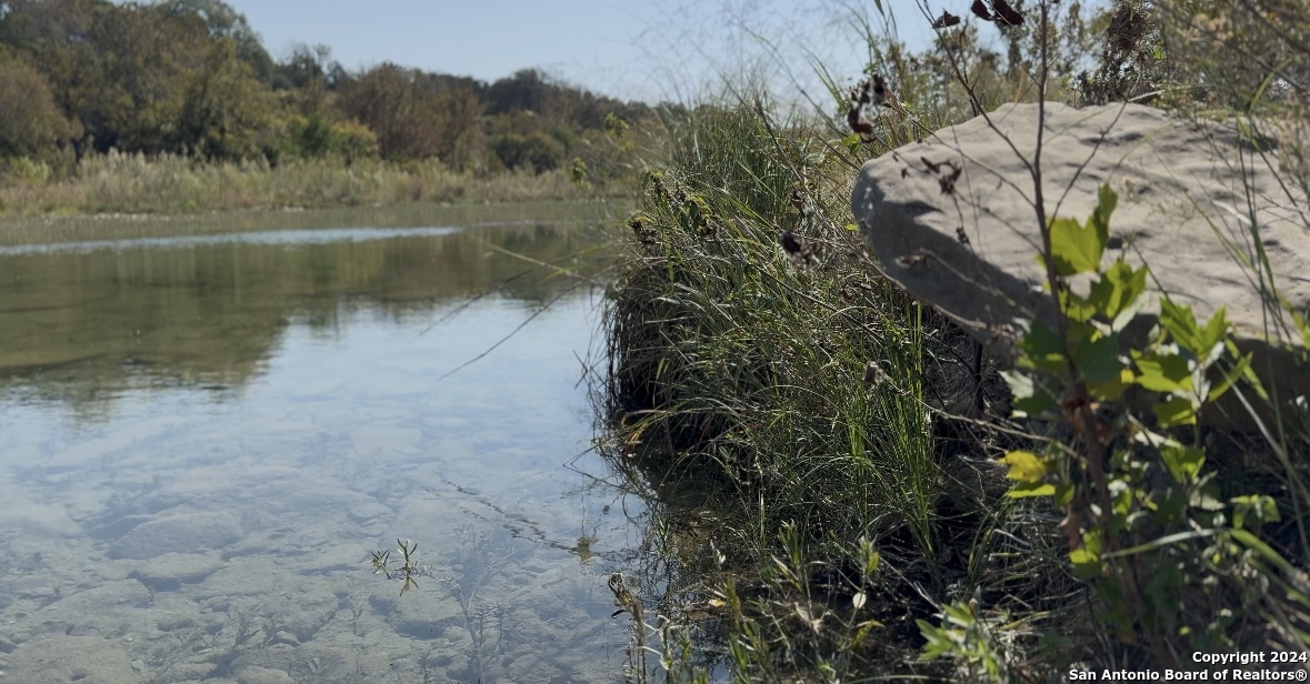 a view of a lake in between two large trees