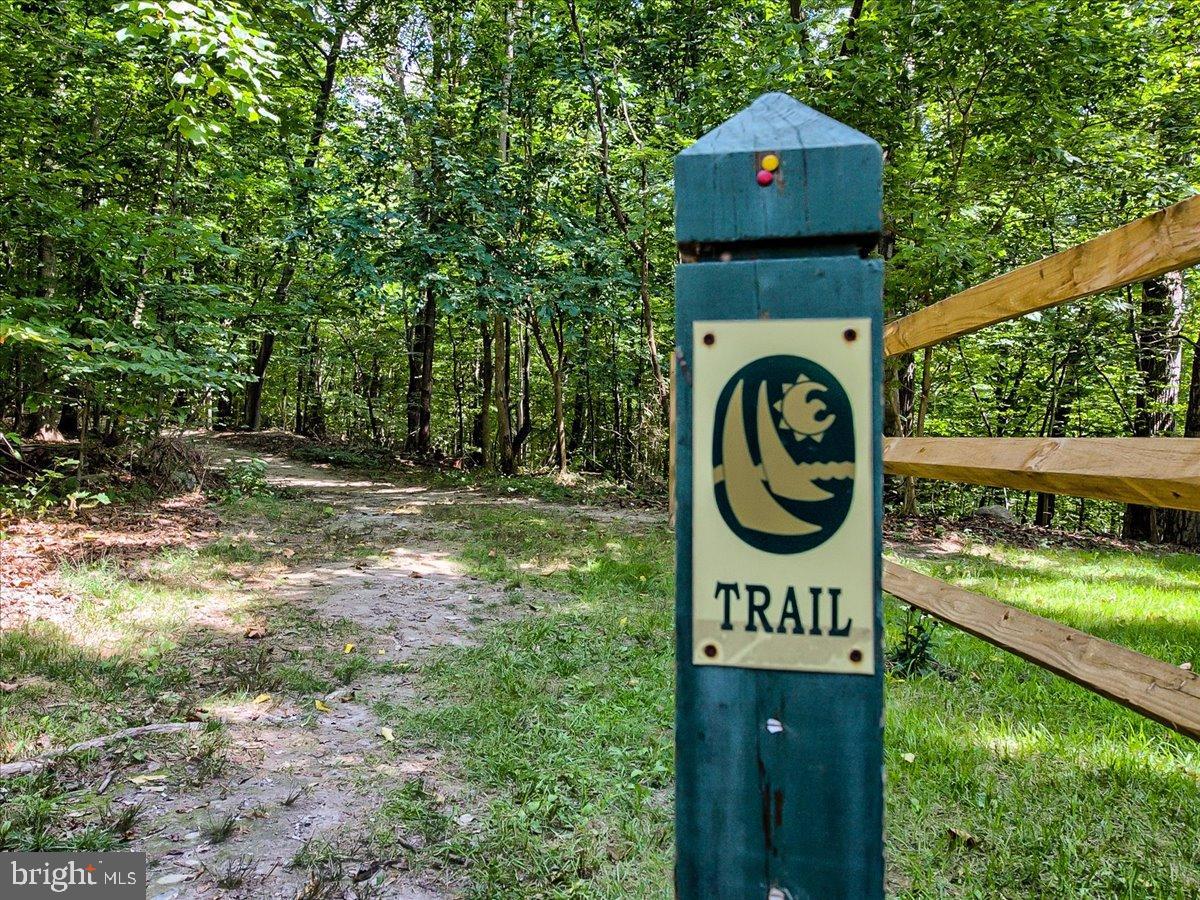 6713 Box Turtle Court New Market, MD 21774 - Photo 65 of 70 20+ miles of trails!