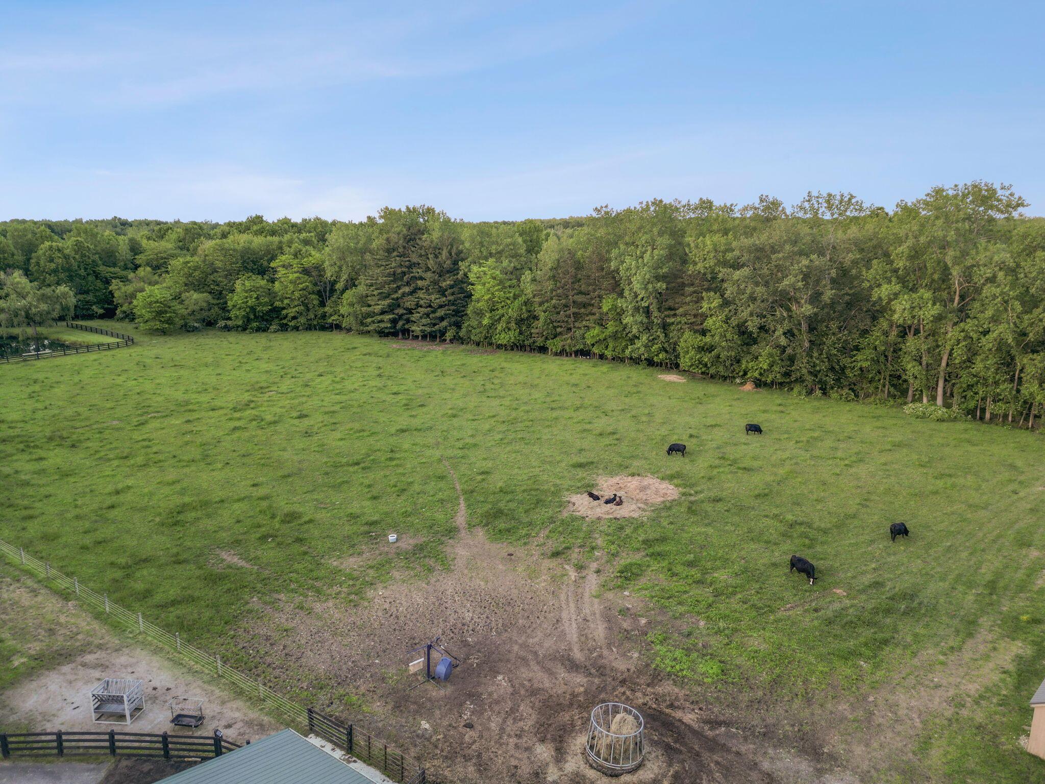 14121 Perfect Road Sunbury, OH 43074 - Photo 121 of 122 Fenced in Pasture