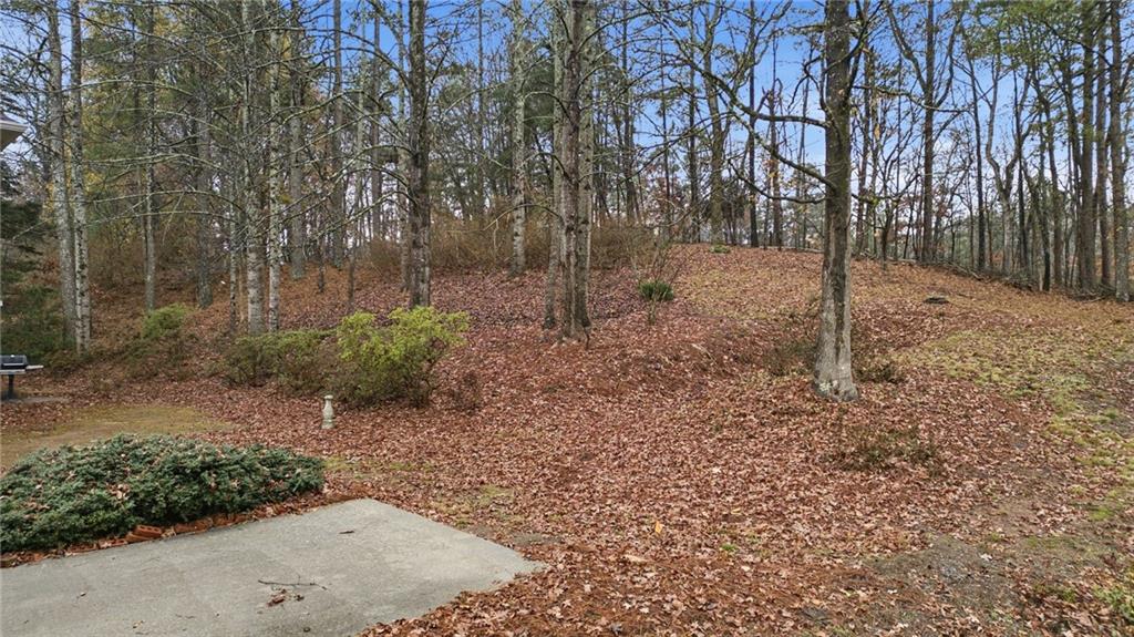 5868 Valine Way Sugar Hill, GA 30518 - Photo 25 of 32 a backyard of a house with lots of green space
