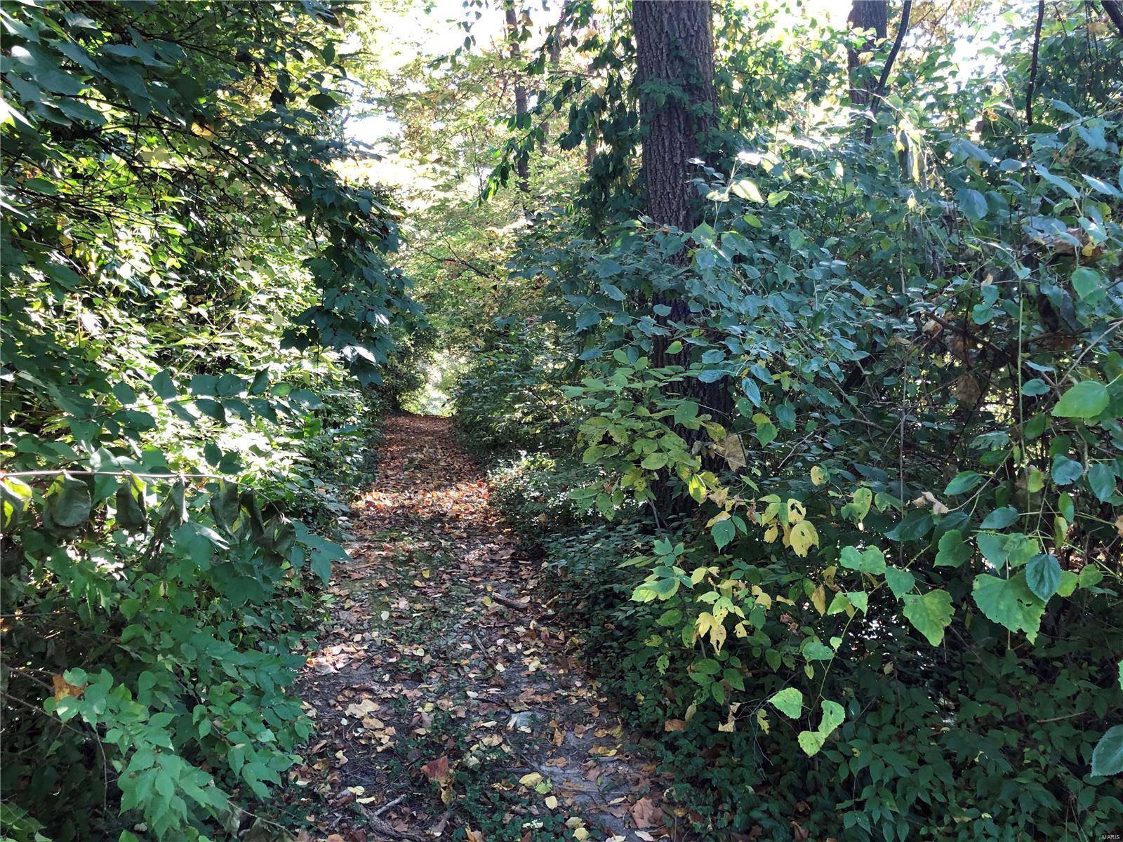 3420 Rockingham Drive Florissant, MO 63033 - Photo 4 of 10