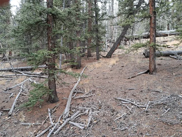 $32,000 | 210 Tepee Trail, Como, CO 80456