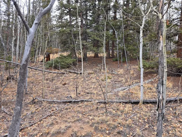 $32,000 | 210 Tepee Trail, Como, CO 80456