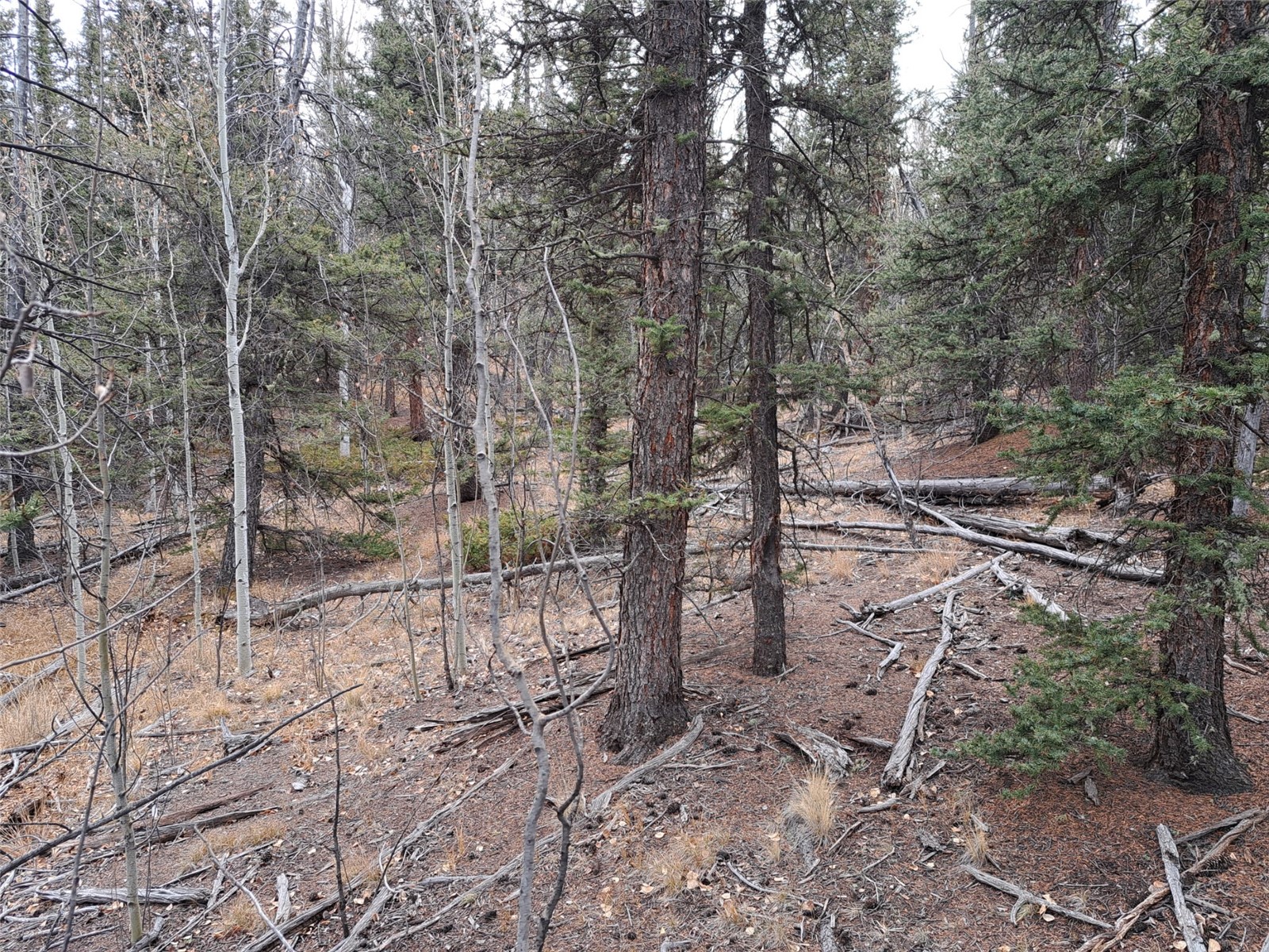 210 Tepee Trail Como, CO 80456 - Photo 13 of 19