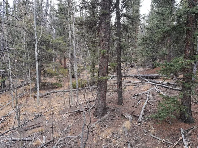 $32,000 | 210 Tepee Trail, Como, CO 80456