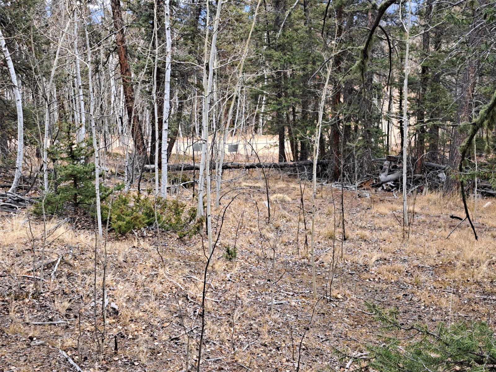 210 Tepee Trail Como, CO 80456 - Photo 17 of 19