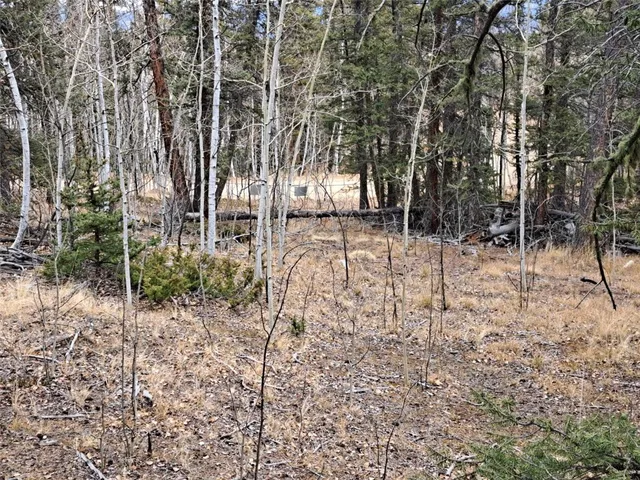 $32,000 | 210 Tepee Trail, Como, CO 80456