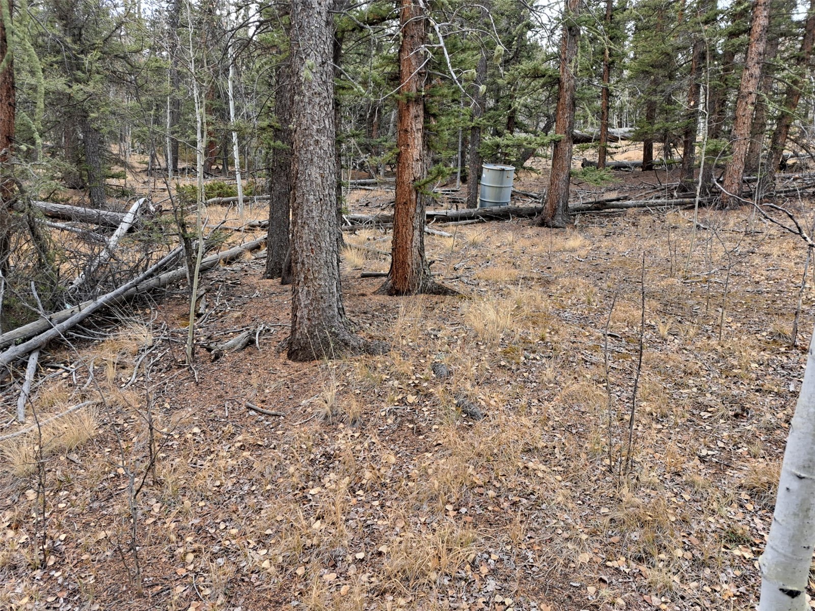 210 Tepee Trail Como, CO 80456 - Photo 2 of 19