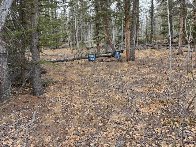 $32,000 | 210 Tepee Trail, Como, CO 80456