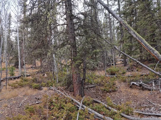 $32,000 | 210 Tepee Trail, Como, CO 80456