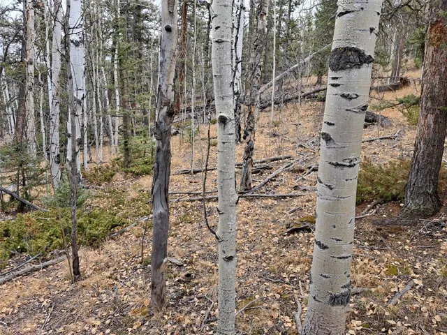 $32,000 | 210 Tepee Trail, Como, CO 80456