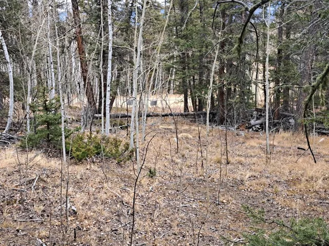 $32,000 | 210 Tepee Trail, Como, CO 80456