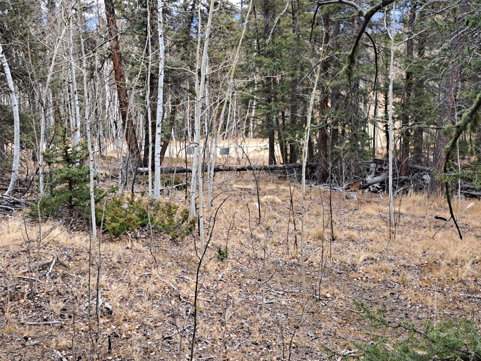 210 Tepee Trail Como, CO 80456 - Photo 7 of 19