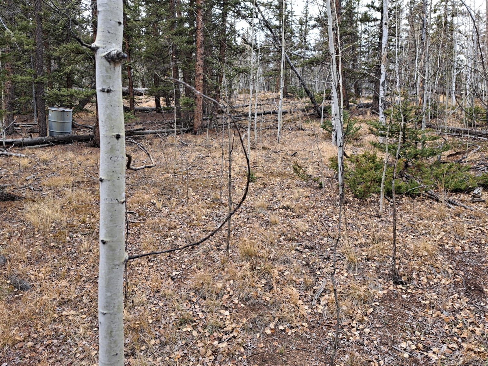 210 Tepee Trail Como, CO 80456 - Photo 8 of 19