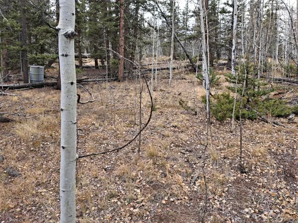 a view of outdoor space with lots of trees