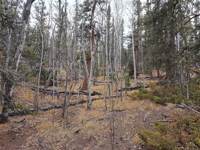 $32,000 | 210 Tepee Trail, Como, CO 80456