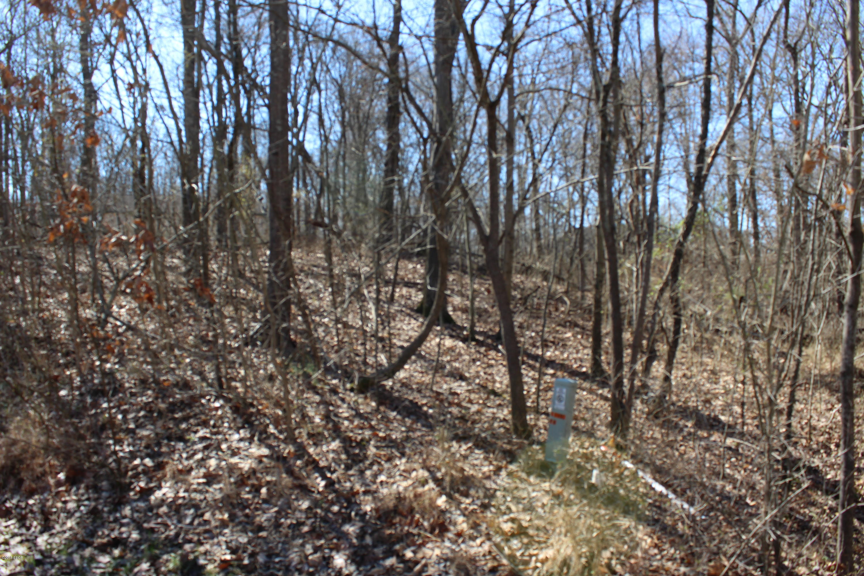 0 Andrew Road Marion, IL 62959 - Photo 1 of 1 Gallery Image 1