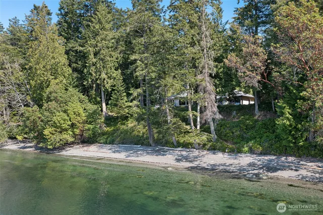 a view of a back yard