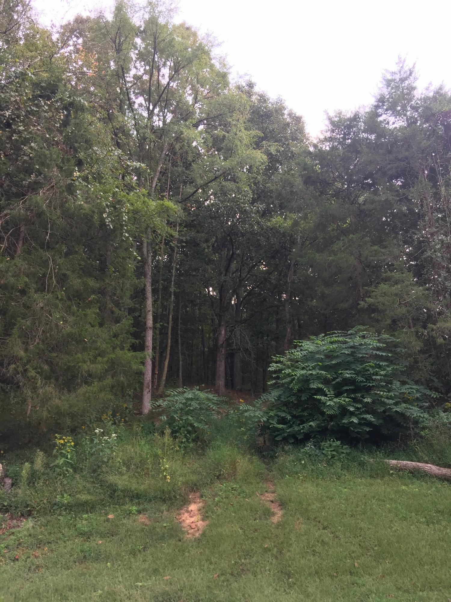 2980 Good Hope Church Road New Market, TN 37820 - Photo 25 of 33 2980 Good Hope Church Rd
