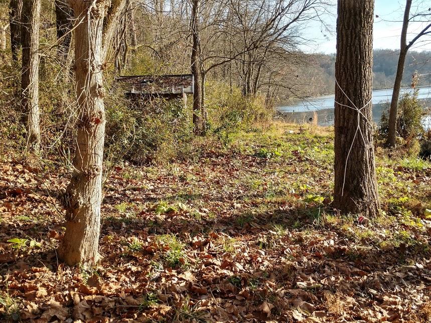 2980 Good Hope Church Road New Market, TN 37820 - Photo 29 of 33 River Frontage