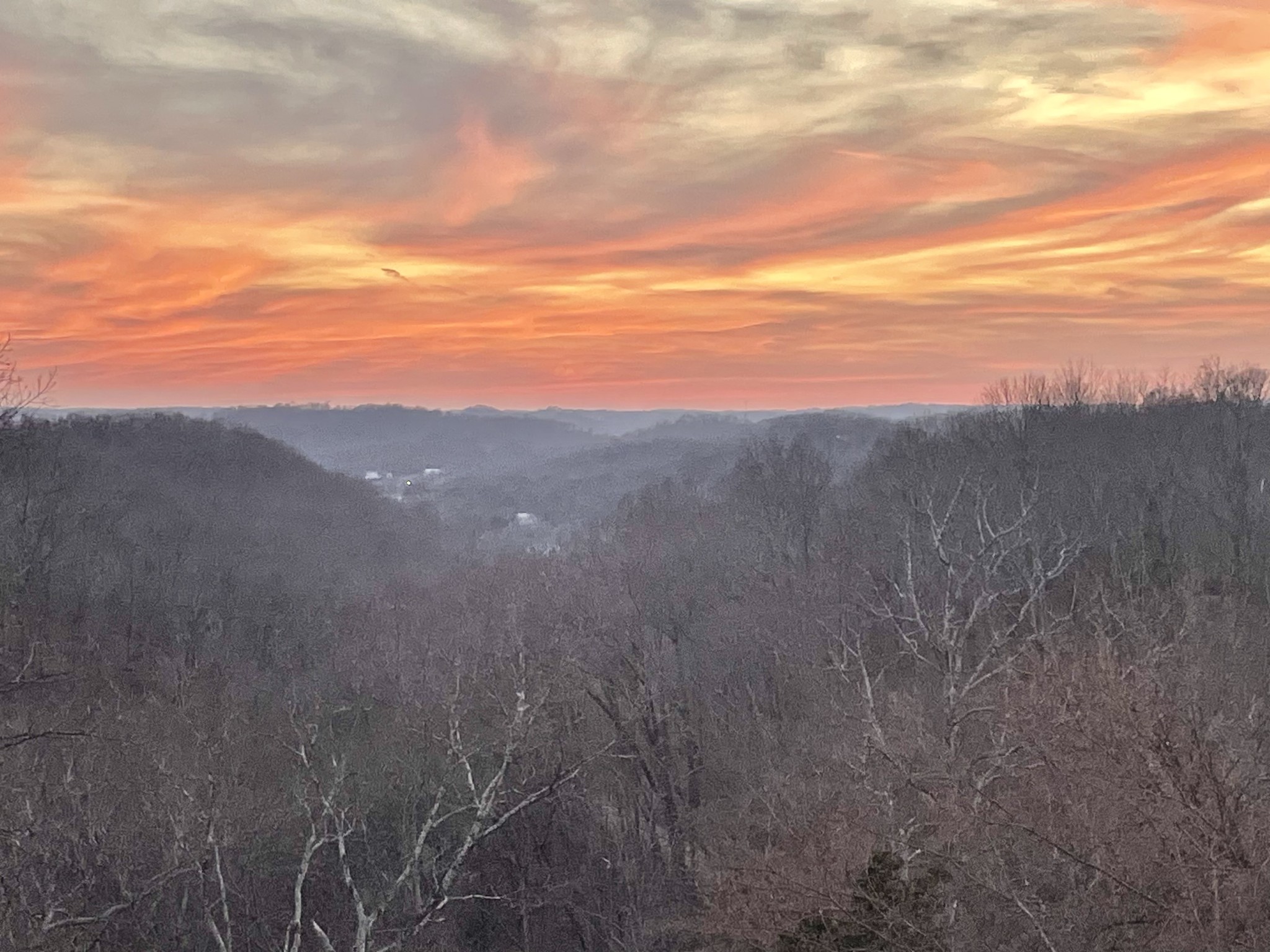 329 Happy Hollow Road Goodlettsville, TN 37072 - Photo 6 of 99