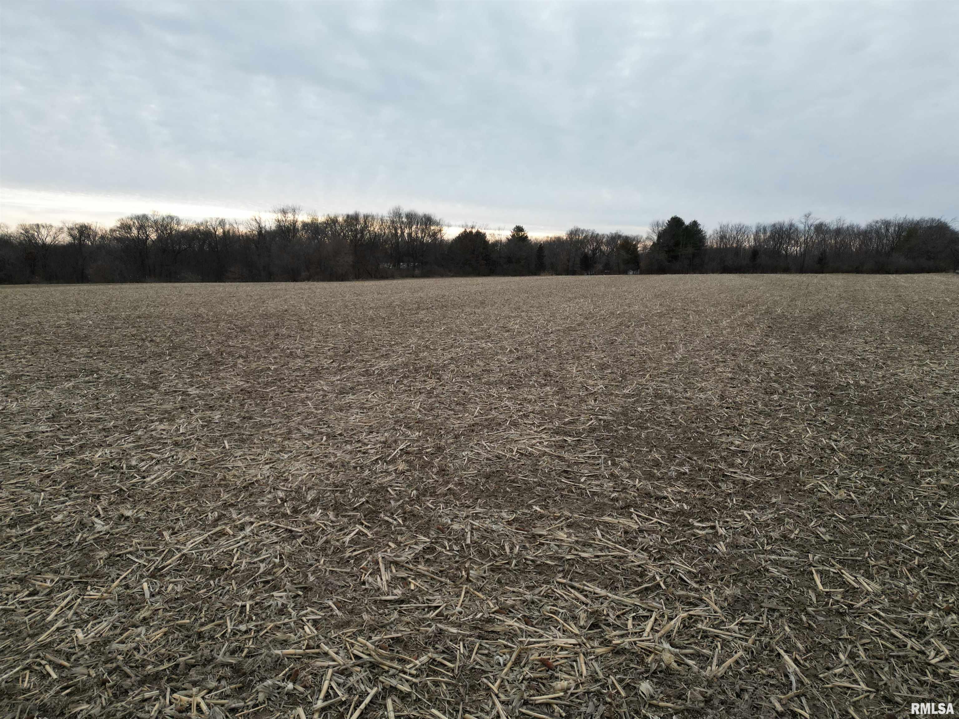 0 North Bitner Road Glasford, IL 61533 - Photo 7 of 8