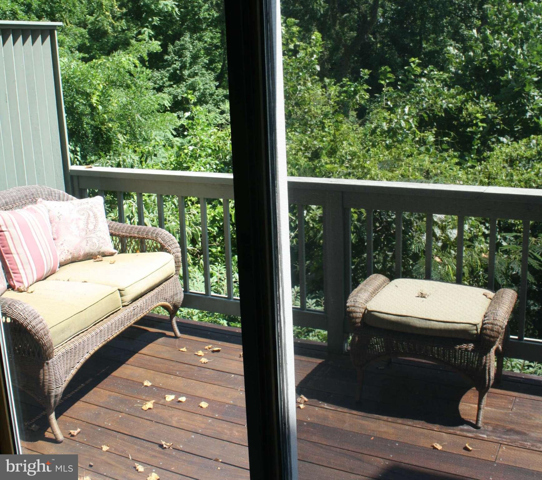 1605 Riverside Drive Annapolis, MD 21409 - Photo 19 of 28 Family Room Deck