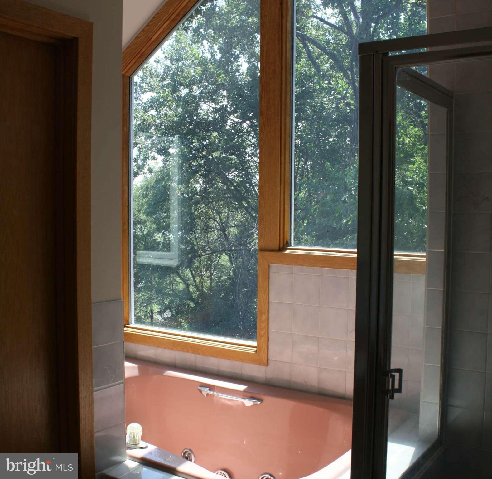 1605 Riverside Drive Annapolis, MD 21409 - Photo 20 of 28 soaking tub w/views!