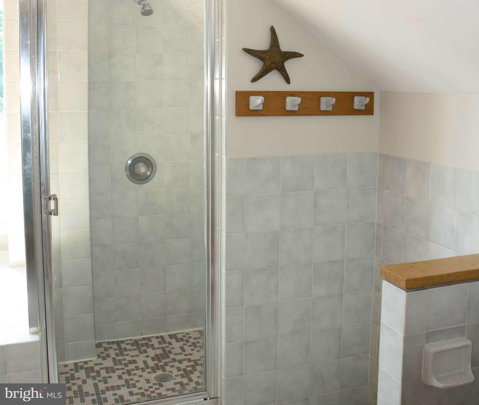 1605 Riverside Drive Annapolis, MD 21409 - Photo 21 of 28 Separate Shower