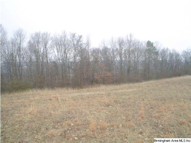 Hamilton Mtn Road, Unit 20 Blountsville, AL 35031 - Photo 2 of 7 Gallery Image 2